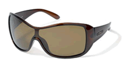 Buy Polaroid 8813 Acetate Sunglasses online