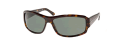Buy Bulgari BV 7003 Sunglasses online