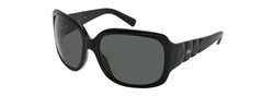 Buy D&amp;G DD 3021 Sunglasses online