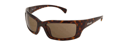 Buy D&amp;G DD 8032 Sunglasses online, 453063031