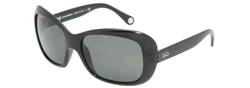 Buy D&amp;G DD 8074 Sunglasses online