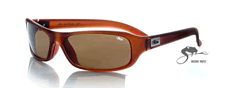Buy Bolle Fang Sunglasses online