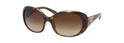 Buy Prada PR 27 LS Sunglasses online, 453064021