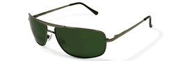 Buy Polaroid P - 4024 Sunglasses online