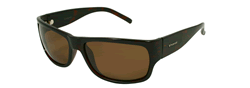 Buy Polaroid P - 8012 Sunglasses online