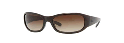 Buy RayBan RB 4137 Sunglasses online