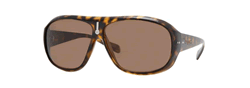 Buy Vogue VO 2570 S Sunglasses online